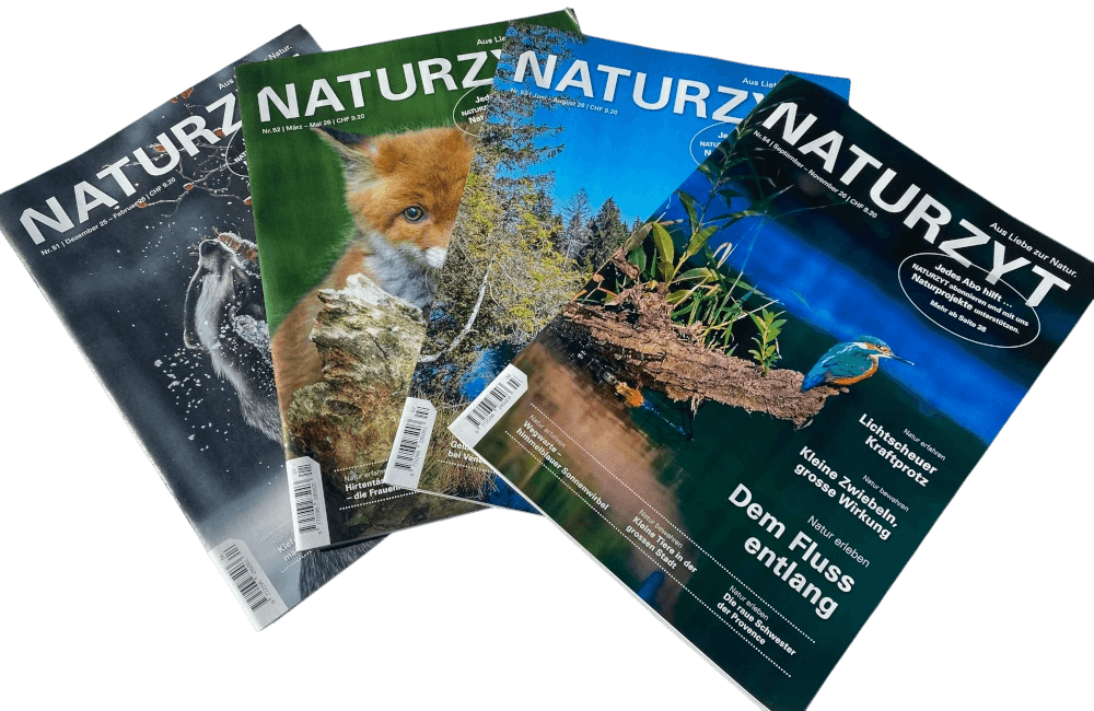 Naturzyt Cover Dezember bis September 2026