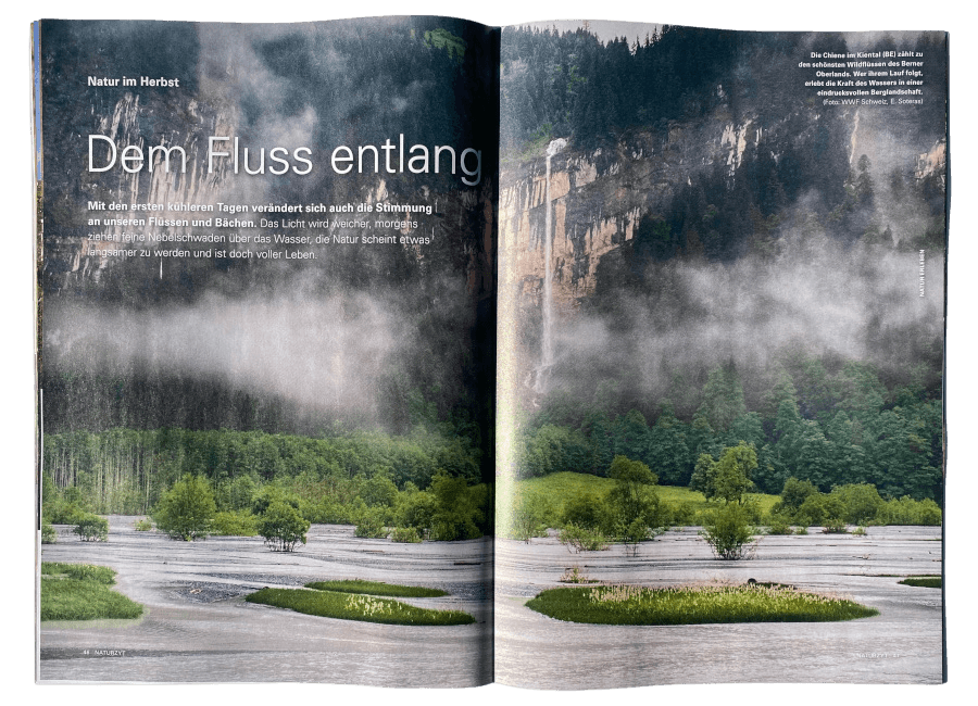 Naturreportage dem Fluss entlang im NATURZYT Magazin Herbst-Ausgabe 2026