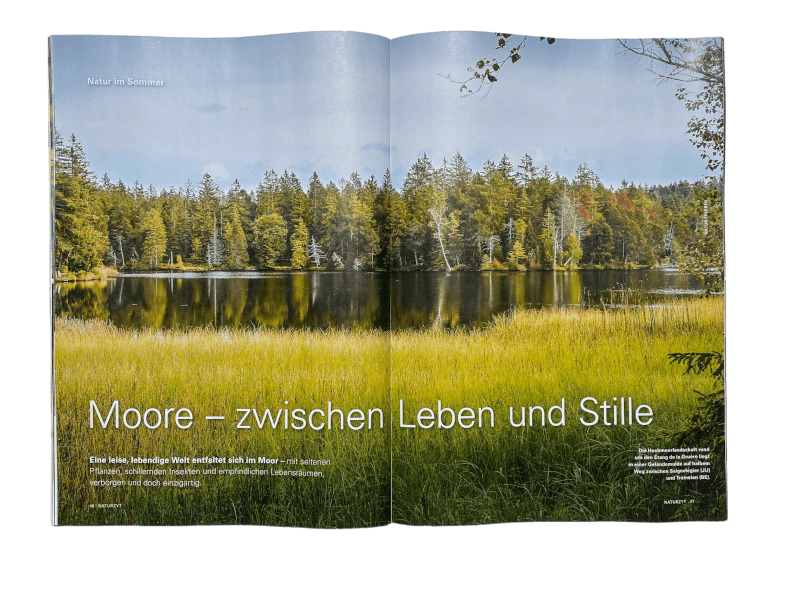 Naturreportage Moore im NATURZYT Magazin Sommer-Ausgabe 2026