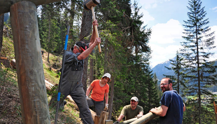 Personen im Bergwald beim Arbeiten