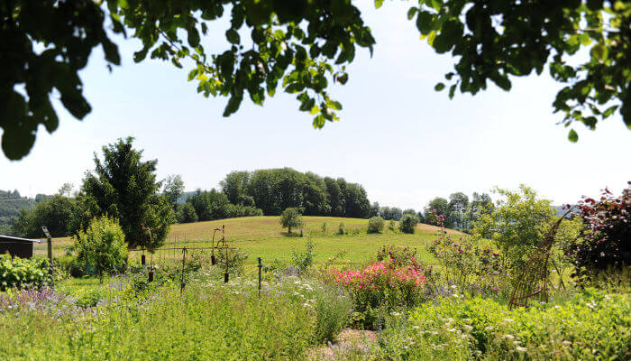 Naturerlebnis Garten
