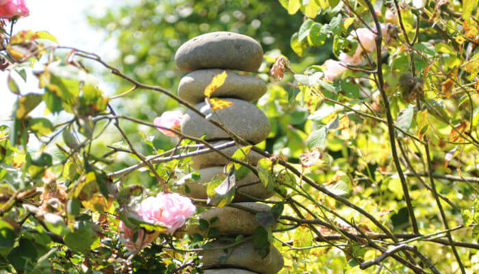 Steinmännchen hinter einer Rosenhecke