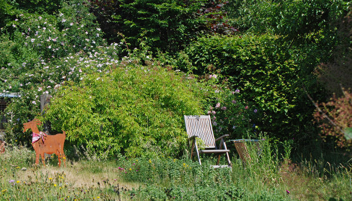 Stuhl im Garten vor vielen Sträucher