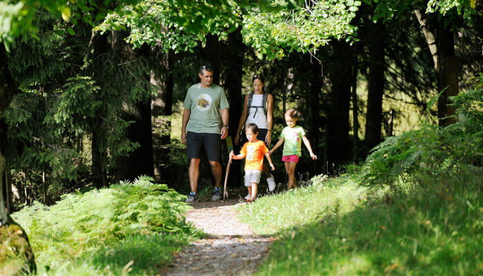 Wanderfamilie die aus dem grünen Wald kommt