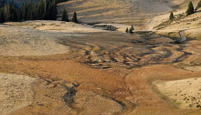 Wiesen und Felder in der Moorlandschaft Haslerberg im Herbst