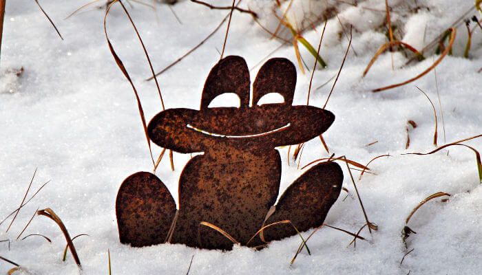 Metallfrosch im Schnee