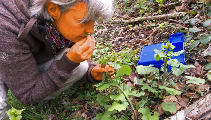 Frau in der Hocke riecht an Pflanzen im Wald