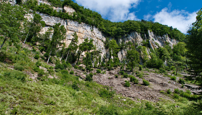 Felsen und Bäume im Sommer in Mümsliwil