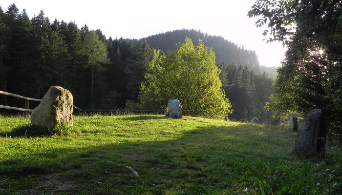 Steinkreis mitten in einer Waldlichtung in den Bergen