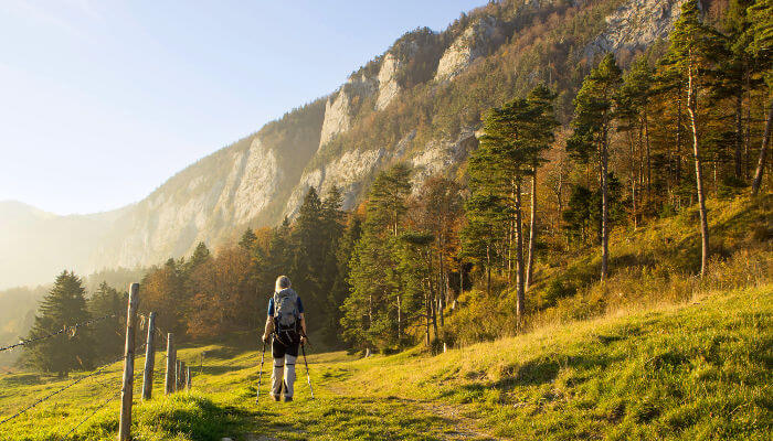 Wandern auf Wiesenweg am Waldrand im Abend Sonnenlicht