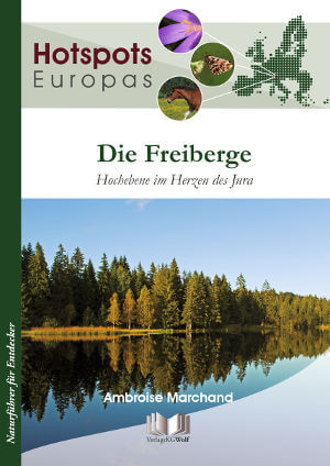 Buch Hotspot Europa - Die Freiberge