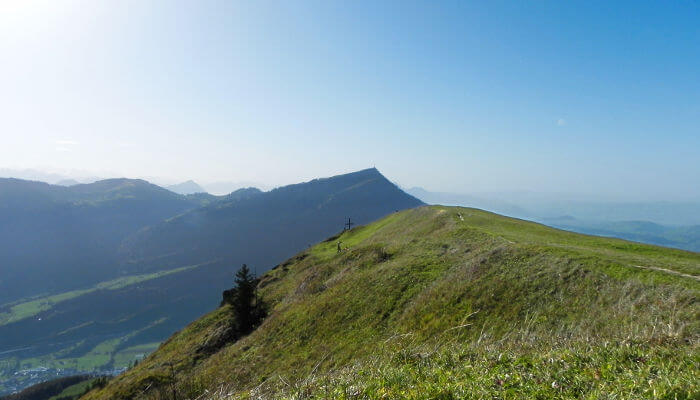 Bergipfel mit Wiese im Sommer auf dem Rigi