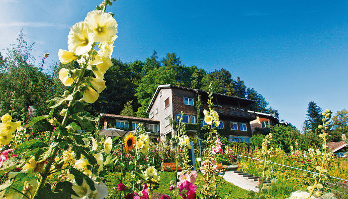 A. Vogelzentrum Haus des A. Vogelzentrum im Sommer