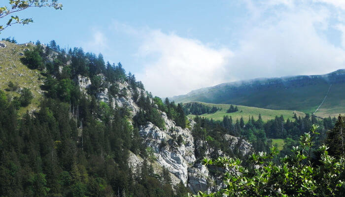 Felsen, Tannenwälder im Sommer auf dem Chasseral
