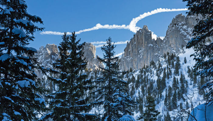 Verschneite Tannen und Bergketten in den Freiburger Voralpen