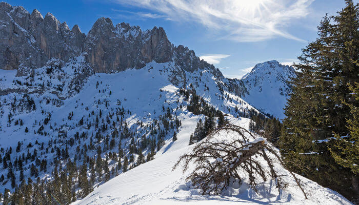 Verschneiter Hügelkamm im Winter
