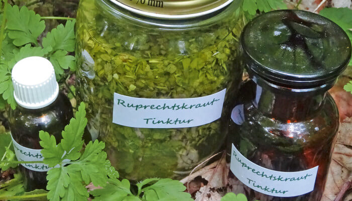 fertige Ruprechtskraut Tinktur in braunen Flaschen