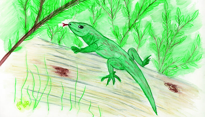 Illustration einer grünen Eidechse auf braunem Holzstamm