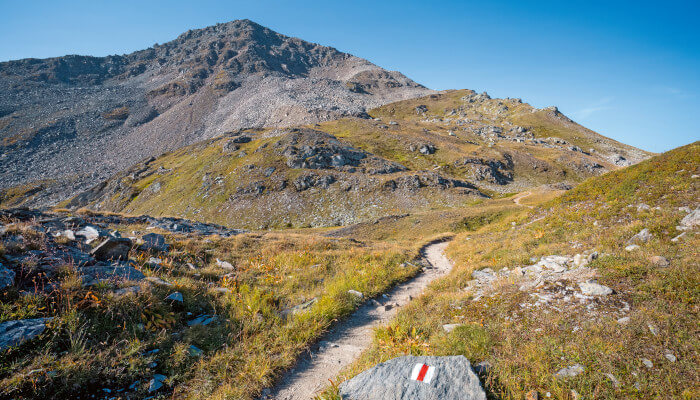 Bergweg zwischen Herbstwiesen auf dem Pazolastock