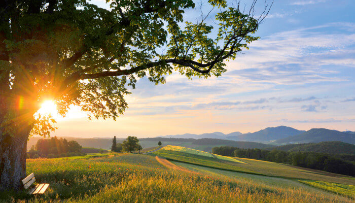 Abenddämmerung mit Sonnenuntergang im Sommer auf dem Lampenberg