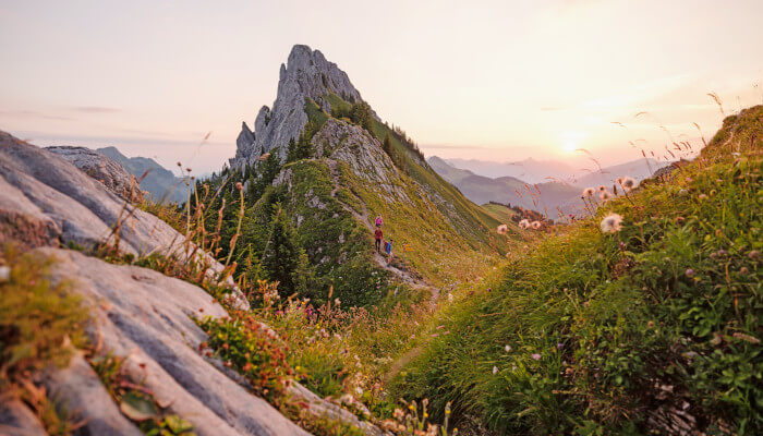 Felsenlandschaft im Sommer in der Region La Gruyère