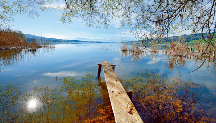 Steg auf den Baldeggersee im Naturschutzgebiet