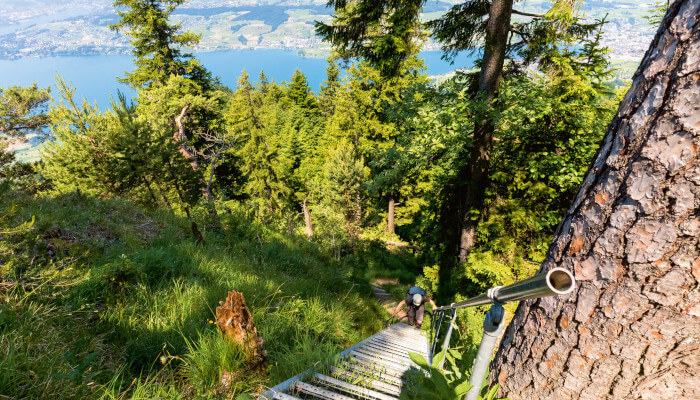 Steile Metaltreppe durch den Wald am Geissrügge