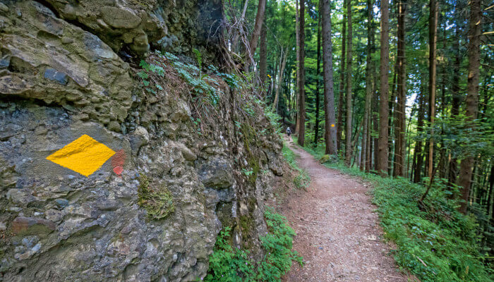 Schmaler Wanderweg durch den Wald an Felsen vorbei an der Müseralp