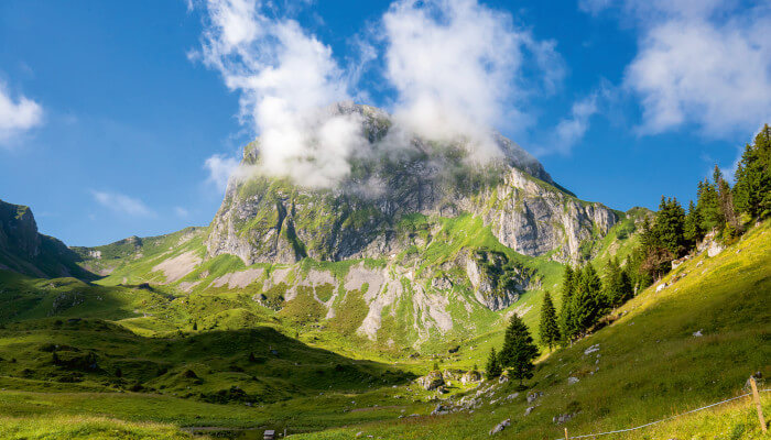 Grüne uns saftige Bergwiesen vor dem Gantrisch