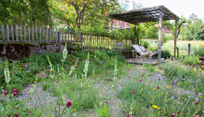 naturnaher Garten mit Gehwegen und Blumeninseln