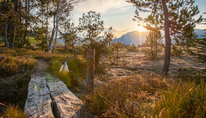 Holzbrücke in einem Moor bei Sonnenaufgang
