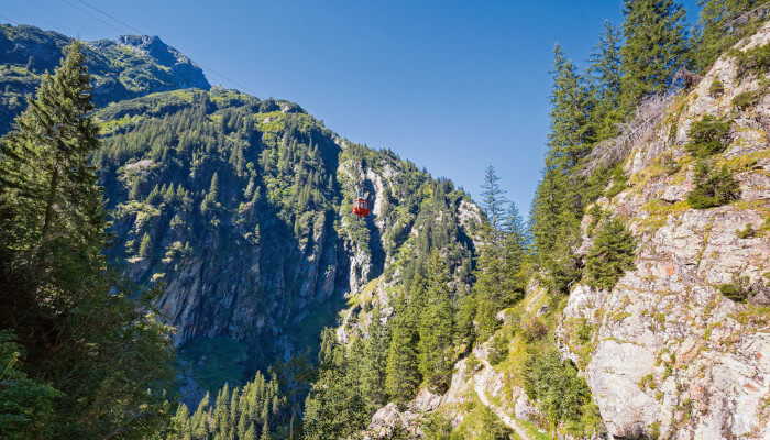Underi Trift Berge mit Tannenwäldern bei Sonnenschein