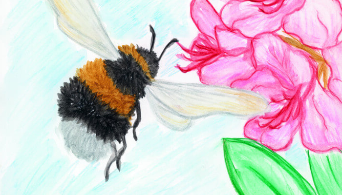 Illustration einer Hummel die auf eine Blumenblüte zu fliegt.