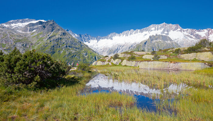 Schöner Moorsee in der Berglandschaft Göscheneralpp
