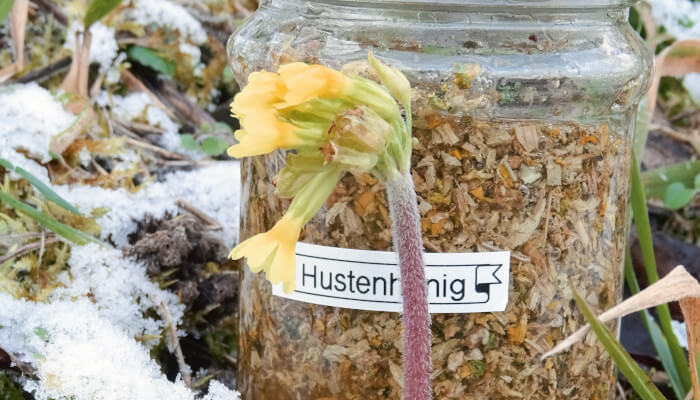 Schlüsselblume vor Einmachglas mit Blüten im Honig