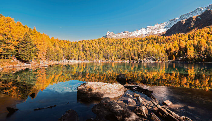 Bergsee umgeben von Tannen und Laubbäumen im Herbst