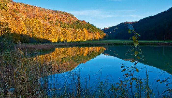 dunkelblauer See im herbstlichen Eichenwald