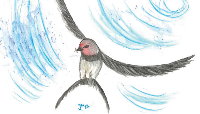 Zeichnung eines fliegenden schwarzen Vogel am blauen Himmel