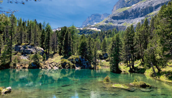 Blauer See umgeben von Tannen in den Bergen im Sommer