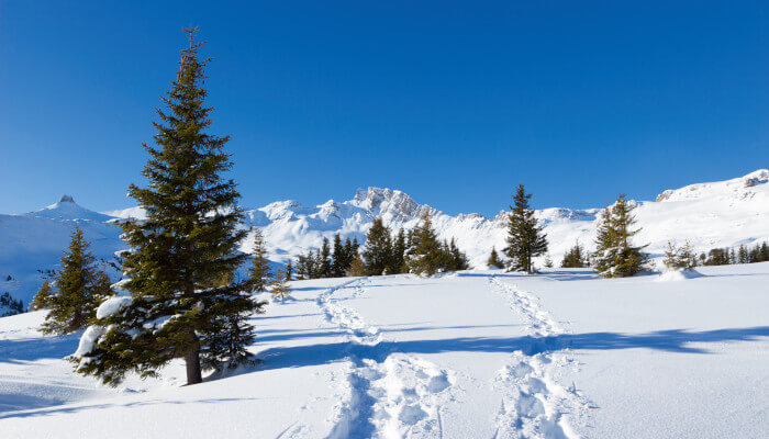 Schneebedeckte Landschaft in den Bergen mit Spuren im Schnee