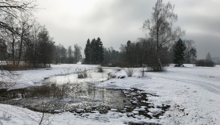 Kleiner See in Winterlandschaft
