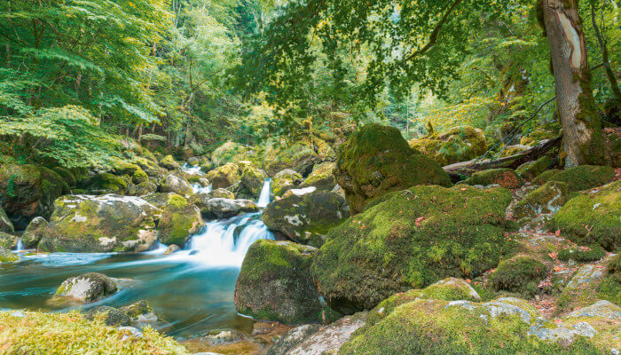 Fluss welcher sich durch mit Moos bewachsenen Steine schlängelt.