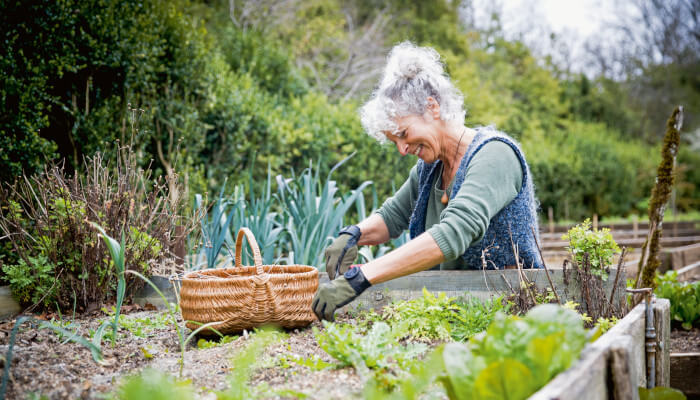 Frau im Garten bei Sonnenschein