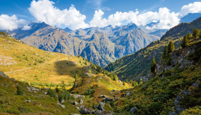 Berglandschaft mit Gipfel und Alpwiesen