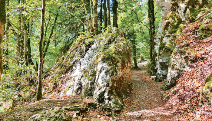 Weg im Herbst durch eine Schlucht