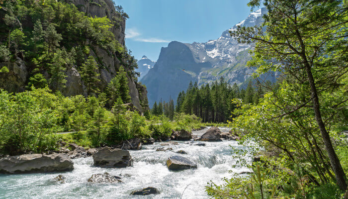 Fluss fliest im Sommer durch ein Tal