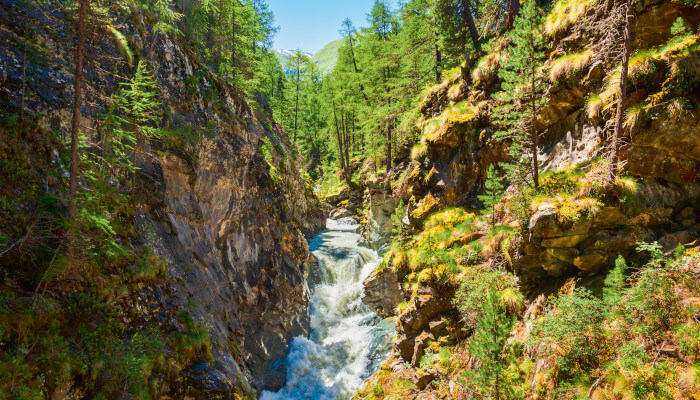 Wilder Fluss fliesst durch eine Schlucht