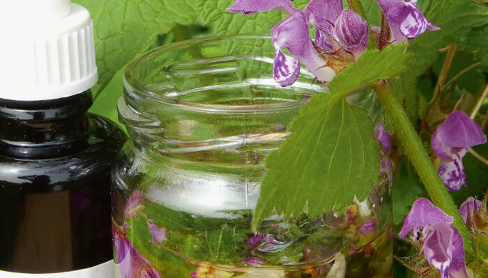 Braune Flasche, weisses Glas und violette Blüten an grüner Pflanze