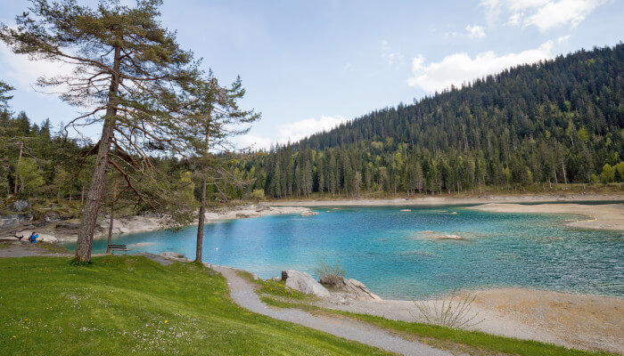 blauer See vor Wald mit grüner Wiese am Ufer