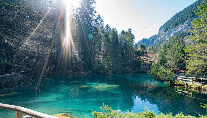 Blauersee eingebettet in Wald und Felsen